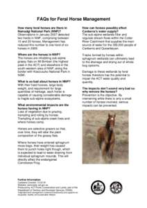 FAQs for Feral Horse Management How many feral horses are there in Namadgi National Park (NNP)? Observations in January 2007 detected two herds in NNP, comprising between 15 and 20 horses. Management has
