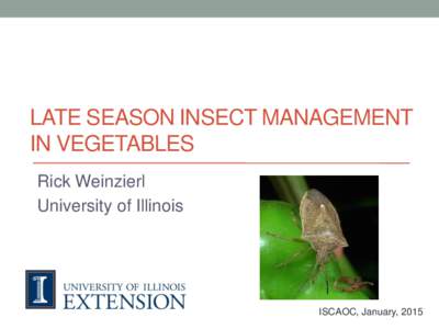 LATE SEASON INSECT MANAGEMENT IN VEGETABLES Rick Weinzierl University of Illinois  ISCAOC, January, 2015