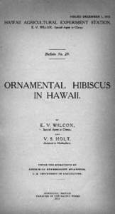 Hibiscus / Hawaiian hibiscus / Hibiscus moscheutos / Hibiscus rosa-sinensis / Rosids / Flowers / Medicinal plants