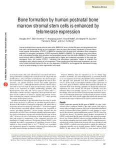 © 2002 Nature Publishing Group http://biotech.nature.com  RESEARCH ARTICLE Bone formation by human postnatal bone marrow stromal stem cells is enhanced by