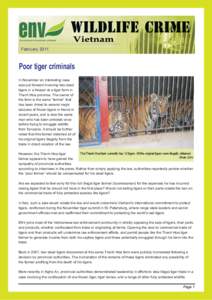 EDUCATION FOR NATURE-VIETNAM  February 2011 Poor tiger criminals In November an interesting case