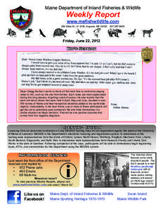 Maine Department of Inland Fisheries & Wildlife  Weekly Report www.meﬁshwildlife.com  284 State St., 41 SHS, Augusta, ME 04330