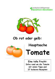 Ob rot oder gelb: Hauptsache Tomate Eine tolle Frucht: Infos rund um die Tomate