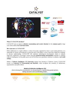 What is CATALYST all about? CATALYST aims to improve collective sensemaking and creative ideation for the common good in large scale online debates for social innovation. How innovative is CATALYST? Public deliberation i