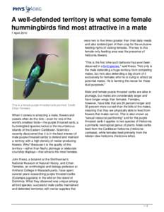 A well-defended territory is what some female hummingbirds find most attractive in a mate