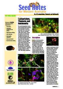 IN THIS ISSUE This issue of Seed Notes will cover the genus Lasiopetalum. D