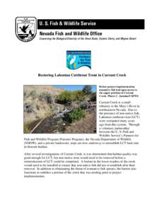 U. S. Fish & Wildlife Service Nevada Fish and Wildlife Office Conserving the Biological Diversity of the Great Basin, Eastern Sierra, and Mojave Desert Restoring Lahontan Cutthroat Trout in Currant Creek Before project i