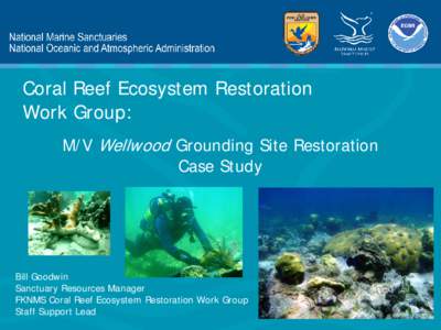 Coral Reef Ecosystem Restoration Work Group: M/V Wellwood Grounding Site Restoration Case Study  Bill Goodwin