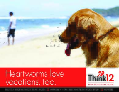 Heartworms love vacations, too. PROTECT YOUR PET FROM HEARTWORM 12 MONTHS A YEAR. TEST FOR HEARTWORM EVE RY 12 MONTHS.