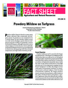 Powdery Mildew on Turfgrass