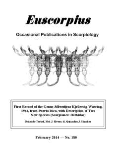 Taxonomy / Arachnids / Tegument / A Carinae / Metasoma / Euscorpius / Zoology / Biology / Scorpions