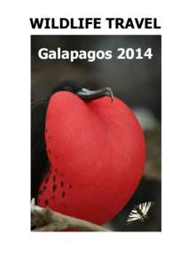 WILDLIFE TRAVEL Galapagos 2014 Galapagos & Ecuador, 25th April to 9th May, Trip Report Leader Philip Precey