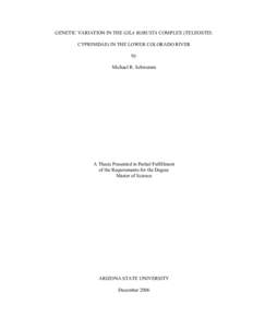 Master’s Thesis of Michael R Schwemm