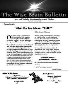 The Wise Brain Bulletin News and Tools for Happiness, Love, and Wisdom Volume)