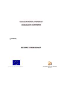 CERTIFICACIÓN DE DIVERSIDAD EN EL LUGAR DE TRABAJO Apéndice :  ESQUEMA DE PUNTUACIÓN