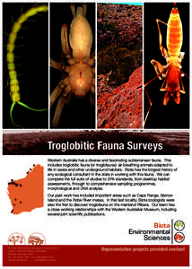 Troglobitic Fauna Surveys Western Australia has a diverse and fascinating subterranean fauna. This includes troglobitic fauna (or troglofauna): air-breathing animals adapted to life in caves and other underground habitat