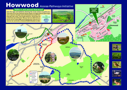 Howwood Access Pathways Initiative  37 A7  Wardbowie