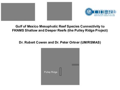 Gulf of Mexico Mesophotic Reef Species Connectivity to FKNMS Shallow and Deeper Reefs (the Pulley Ridge Project) Dr. Robert Cowen and Dr. Peter Ortner (UM/RSMAS) Pulley Ridge