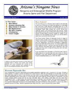 Arizona’s Nongame News Nongame and Endangered Wildlife Program Arizona Game and Fish Department Newsletter Number 11  In This Issue: