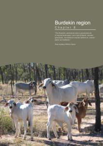 Burdekin region Chapter 8 77 “The Burdekin catchments drain a great diversity of tropical landscapes: semi-arid drylands, wooded grasslands, mountainous tropical rainforests, coastal