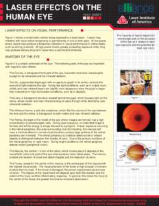 LASER EFFECTS ON THE HUMAN EYE FACT SHEET LASER EFFECTS ON VISUAL PERFORMANCE Figure 1 shows a construction worker being exposed to a laser beam. Lasers may