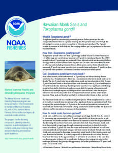 NOAA Fisheries Pacific Islands Region  |  Hawaiian Monk Seals and Toxoplasma gondii  Hawaiian Monk Seals and Toxoplasma gondii What is Toxoplasma gondii?