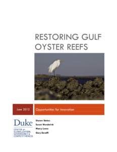 RESTORING GULF OYSTER REEFS June[removed]Opportunities for Innovation