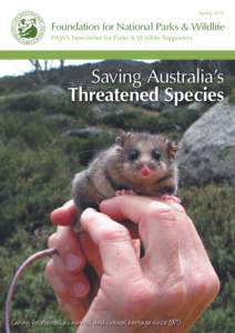 Possums / EDGE Species / Wildlife / Corroboree frog / Tetrachloride / Mountain Pygmy Possum / Tree hollow / Yellow-bellied Glider / Kosciuszko National Park / Mammals of Australia / Conservation / Fauna of Australia