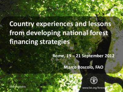 Country experiences and lessons from developing national forest financing strategies Rome, 19 – 21 September 2012 Marco Boscolo, FAO