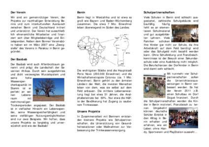 Microsoft Word - Flyer_Der Verein2011.doc