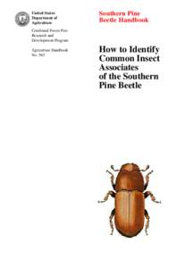 United States Department of Agriculture Southern Pine Beetle Handbook