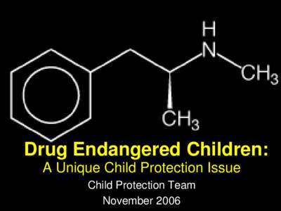 Drug Endangered Children: A Unique Child Protection Issue Child Protection Team November 2006  OBJECTIVES