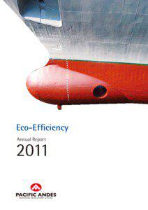 Eco-Efficiency Annual Report