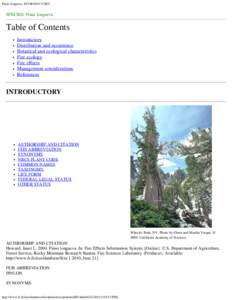 Pinus longaeva: INTRODUCTORY