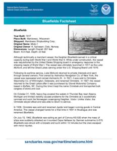 Microsoft Word - Bluefields one pager LH.doc
