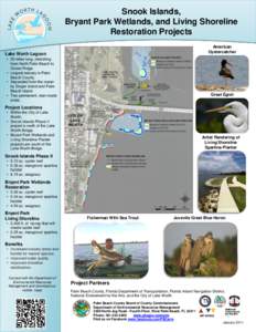 Snook Islands, Bryant Park Wetlands, and Living Shoreline Restoration Projects American Oystercatcher