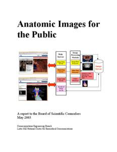 Anatomic Images for the Public Web Server  Image