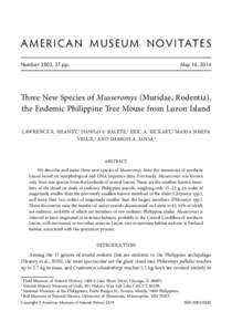 A M E R I C A N M US E U M N OV ITATE S Number 3802, 27 pp. May 16, 2014  Three New Species of Musseromys (Muridae, Rodentia),