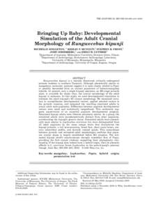 THE ANATOMICAL RECORD 293:388–Bringing Up Baby: Developmental Simulation of the Adult Cranial Morphology of Rungwecebus kipunji MICHELLE SINGLETON,1* KIERAN P. MCNULTY,2 STEPHEN R. FROST,3