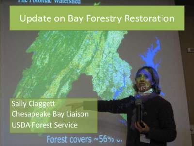 Update on Bay Forestry Restoration  Sally Claggett Chesapeake Bay Liaison USDA Forest Service