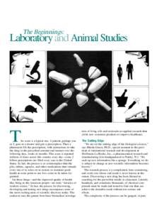 The Beginnings:  Laboratory and Animal Studies T
