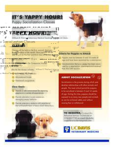 IT’S YAPPY HOUR! Puppy Socialization Classes Offered by the SMALL ANIMAL COMMUNITY PRACTICE and UC DAVIS BEHAVIOR SERVICE
