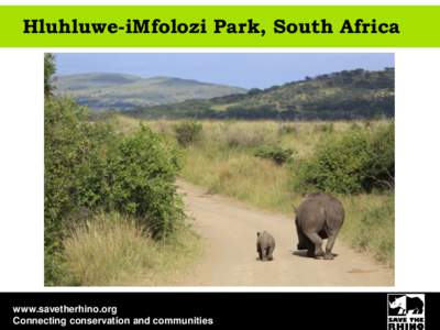 Hluhluwe-iMfolozi Park, South Africa  www.savetherhino.org Connecting conservation and communities  About Hluhluwe-iMfolozi Park