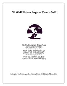 Develop NSST vision statement, goals and objectives based on a comprehensive analysis of the task assignments and charges