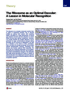 Theory  The Ribosome as an Optimal Decoder: A Lesson in Molecular Recognition Yonatan Savir1 and Tsvi Tlusty2,* 1Department