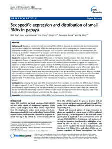 Cytogenetics / Molecular genetics / MicroRNA / RNA interference / Non-coding RNA / Chromosome / Sex-determination system / Y chromosome / Bacterial small RNA / Genetics / Biology / RNA