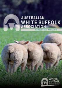 AUSTRALIAN  WHITE SUFFOLK ASSOCIATION