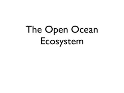 The Open Ocean Ecosystem What is the Open Ocean?  Shore