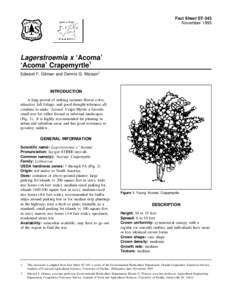 Fact Sheet ST-343 November 1993 Lagerstroemia x ‘Acoma’ ‘Acoma’ Crapemyrtle1 Edward F. Gilman and Dennis G. Watson2