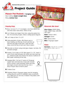 Spectrum Glass presents: The System 96® Glass Craft Program Project Guide